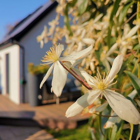 Hastings Casita, 'Little House' Self Contained Garden Lodge, Close To Town And Seafront Exterior photo