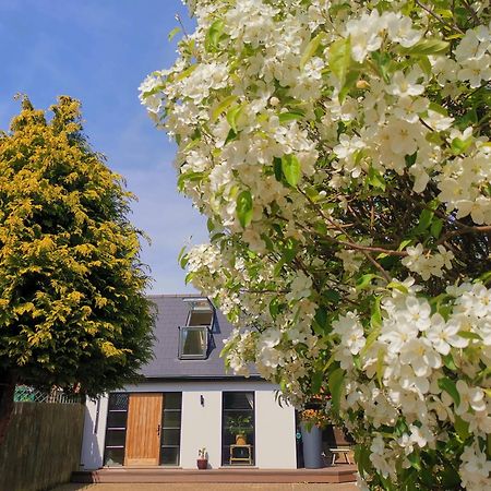 Hastings Casita, 'Little House' Self Contained Garden Lodge, Close To Town And Seafront Exterior photo