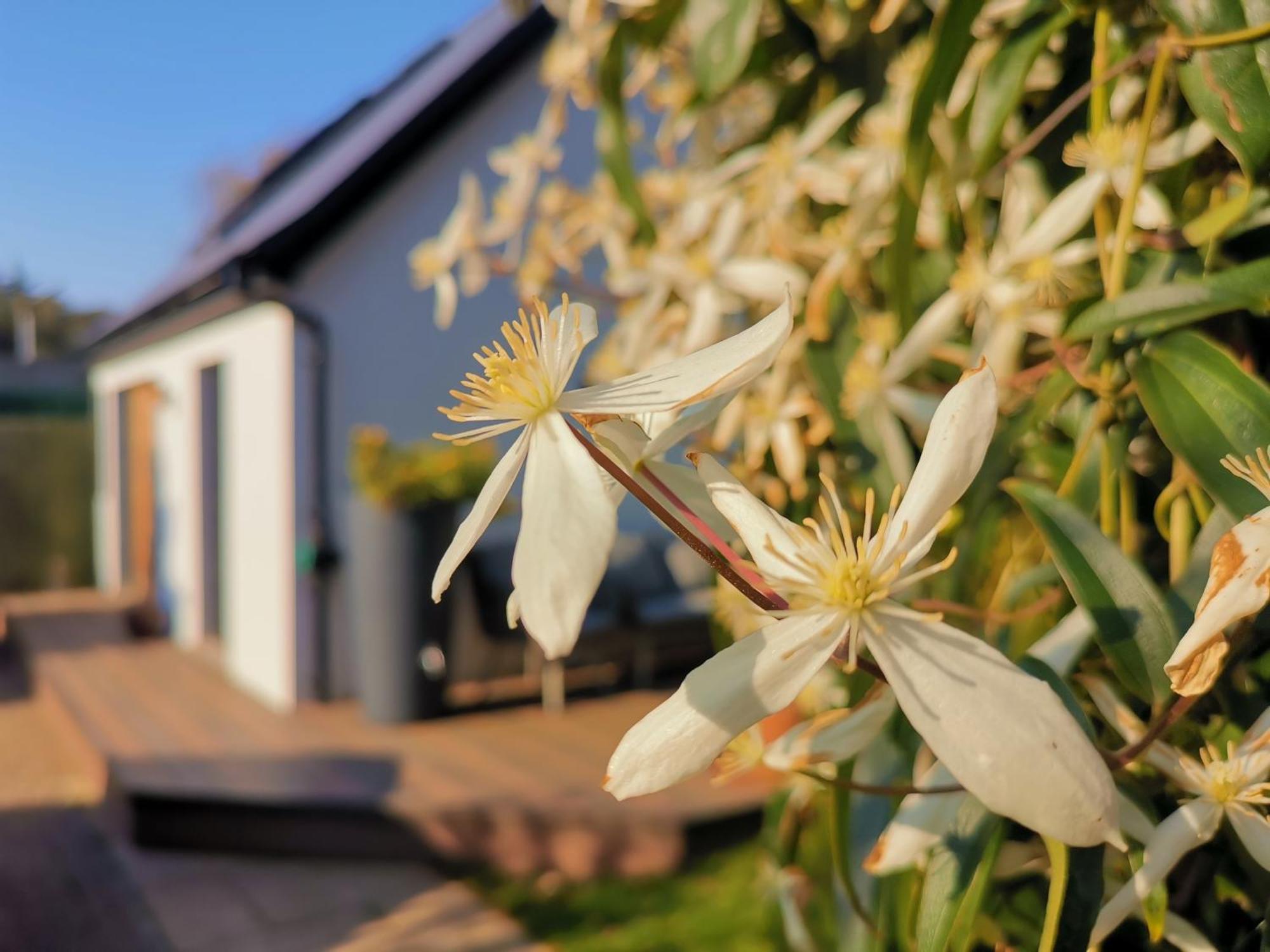 Hastings Casita, 'Little House' Self Contained Garden Lodge, Close To Town And Seafront Exterior photo